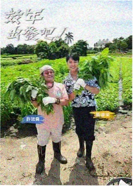免费观看电影电视剧的app推荐 奔跑吧